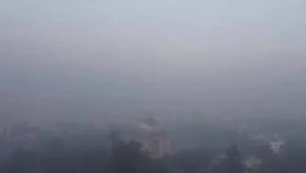 Delhi shivers in cold wave amid dense fog