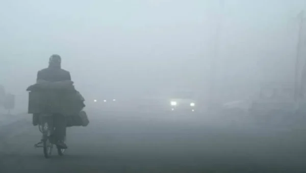 Coldwave continues in Gujarat, Mt Abu receives snowfall, temperature dips to -3°C