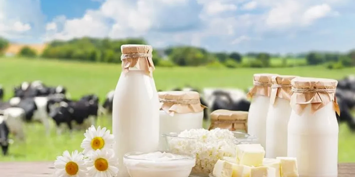 Hatsun Agro acquires Milk Mantra for Rs 233 crore, expands presence in East