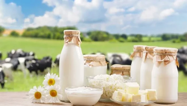 Hatsun Agro acquires Milk Mantra for Rs 233 crore, expands presence in East