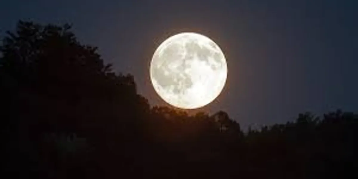 Magha Purnima 2025: Date, Significance, Rituals, and Celebrations