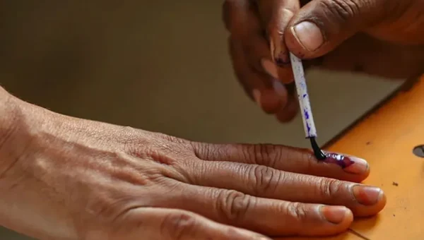 Over 5,000 candidates file nominations for municipality, panchayat elections in Gujarat