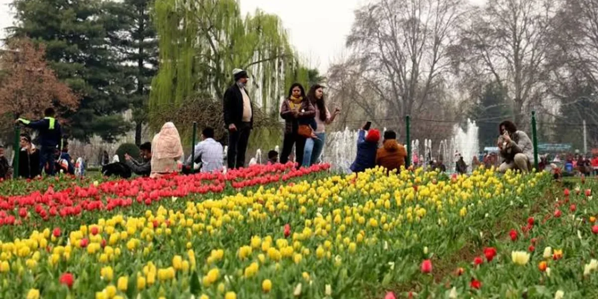 Report: Kashmir received 13 pc of total tourist footfall in J-K from 2021-24