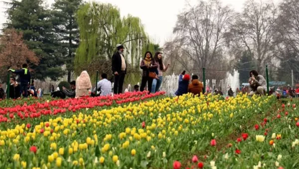 Report: Kashmir received 13 pc of total tourist footfall in J-K from 2021-24