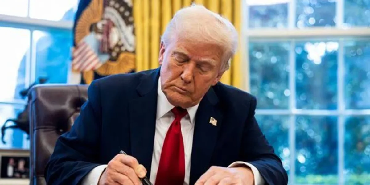 Trump tariffs may open new opportunities for India: MD Volkswagen India