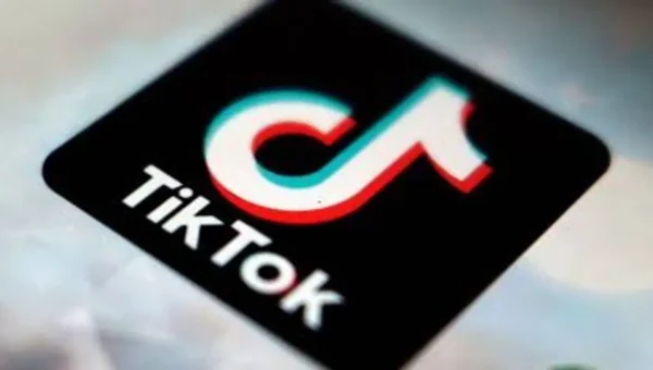 TikTok deal put on hold after China objects over Trump tariffs: Report