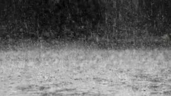 IMD: Pre-monsoon showers will continue to soak Gujarat