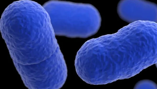 US listeria outbreak: At least 10 people hospitalised after eating contaminated food