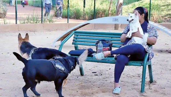 AMC hikes pet dog registration charge from ₹200 to ₹500
