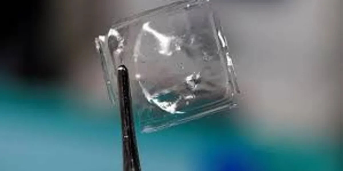 Scientists make new plastic that dissolves in water in a few hours