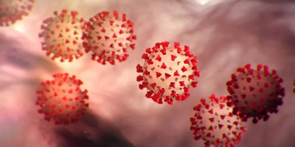 One-day-old infant tests positive for COVID-19 in Ahmedabad, 265 cases Gujarat