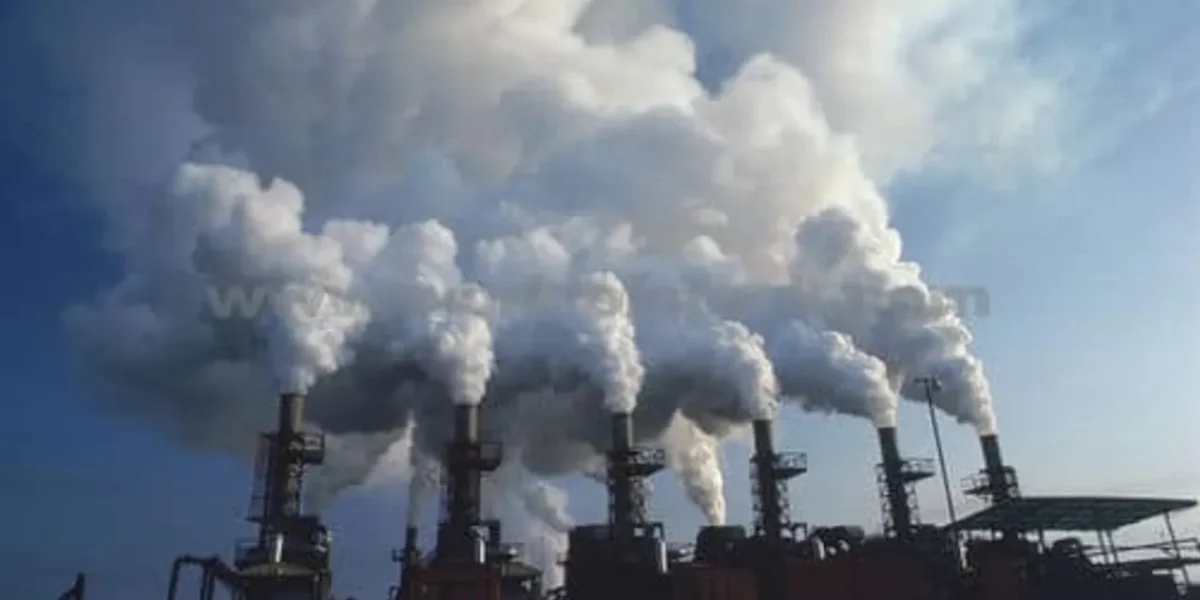 Air Pollution and Brain Health: Growing Evidence of Neurological Risks