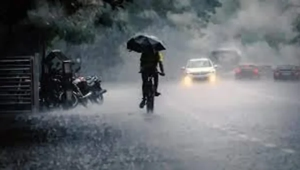 Heavy Rain Forecast Across Gujarat: Red Alert in 5 Districts – Latest Weather Updates