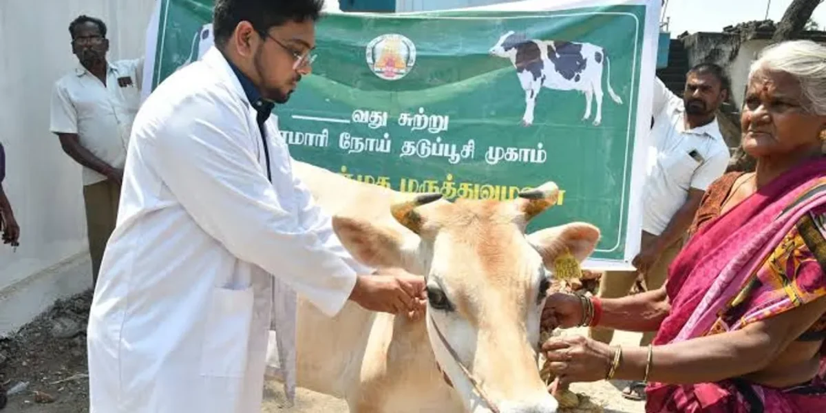 FMD vaccination for cattle begins in Vellore, Ranipet districts