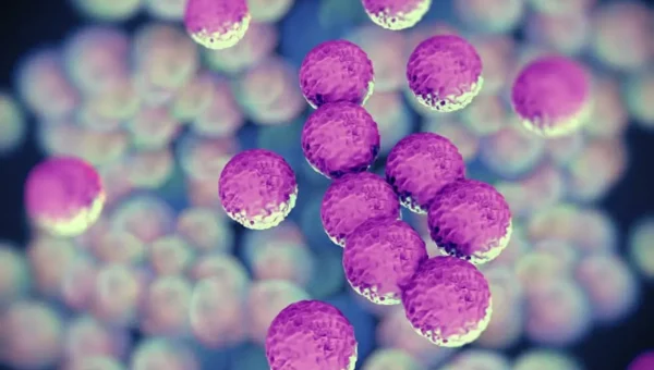 Superbugs threaten lives and may cost $2 trillion a year by 2050: Report
