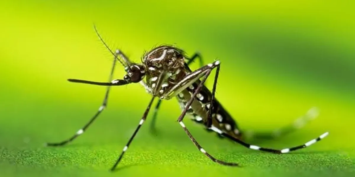 AMC collects ₹6 lakh from 276 commercial units during anti-mosquito drive