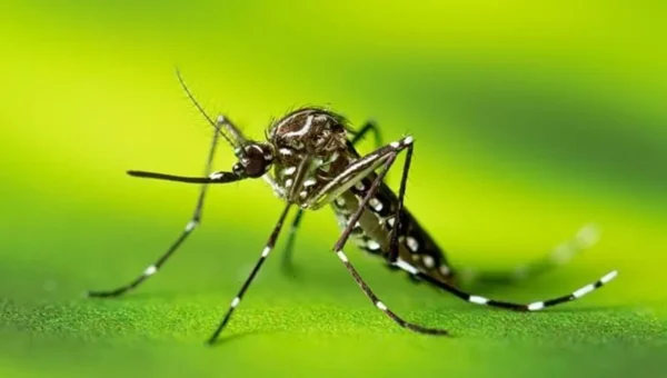 AMC collects ₹6 lakh from 276 commercial units during anti-mosquito drive
