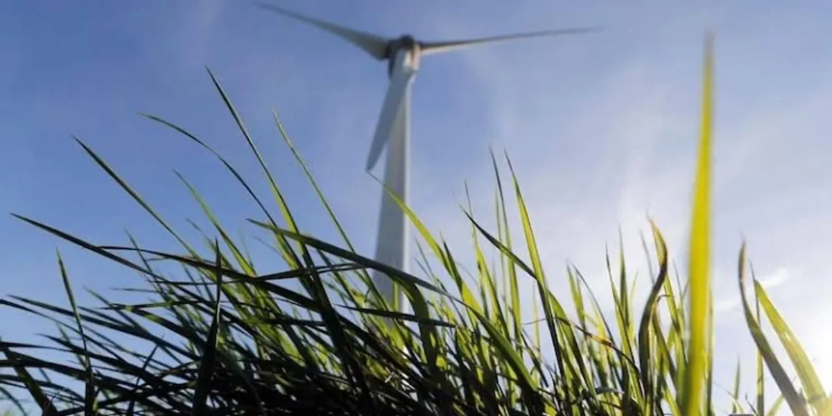 Adani Green Q1 Results: Profit jumps 31% YoY to ₹824 crore