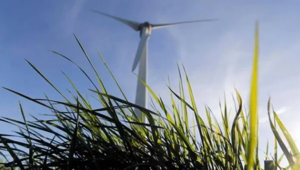 Adani Green Q1 Results: Profit jumps 31% YoY to ₹824 crore