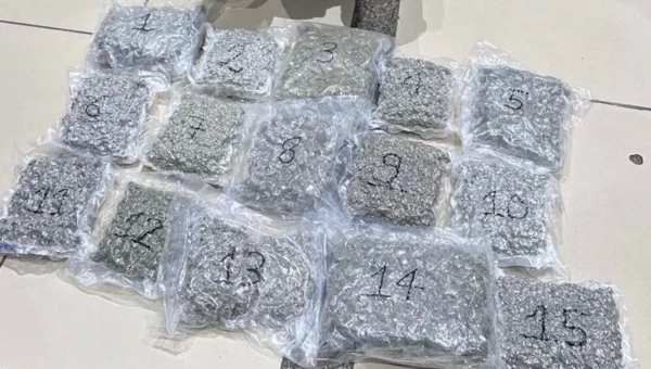Over 8 kg of marijuana seized from Bangkok passenger at Ahmedabad airport
