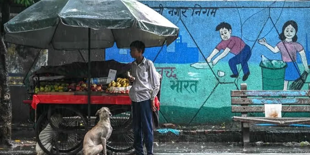 SC Reserves order on pleas challenging rounding up of stray dogs in Delhi NCR