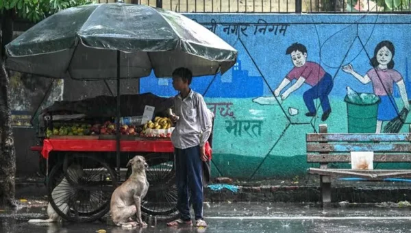 SC Reserves order on pleas challenging rounding up of stray dogs in Delhi NCR