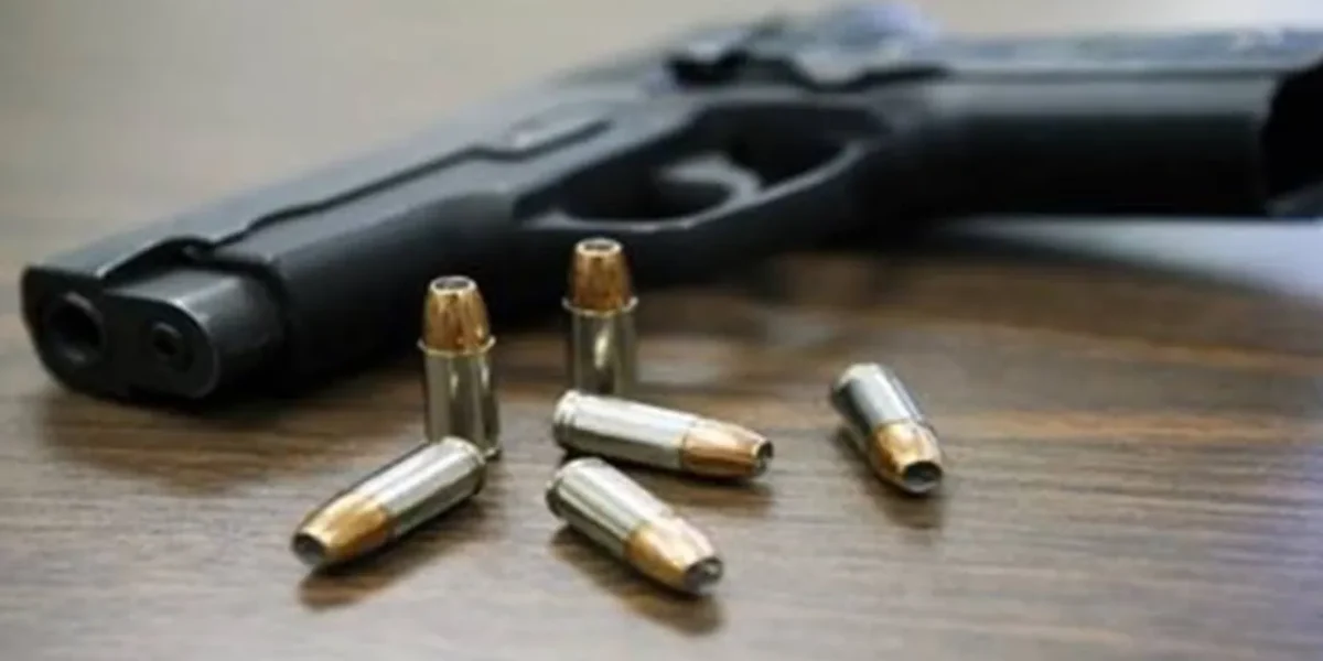 Gun, ammunition seized at Ahmedabad-Vadodara Expressway, three arrested