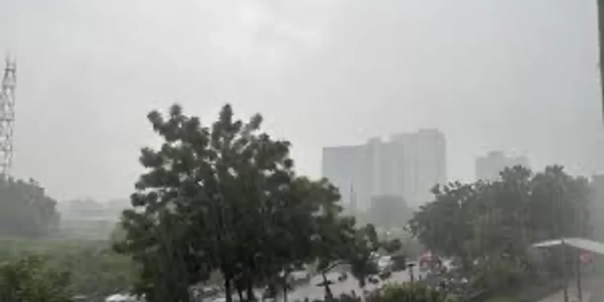 Ahmedabad sees widespread showers amid alert in Gujarat