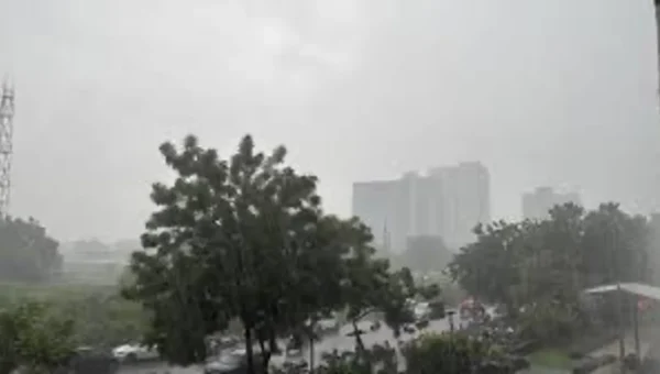 Ahmedabad sees widespread showers amid alert in Gujarat