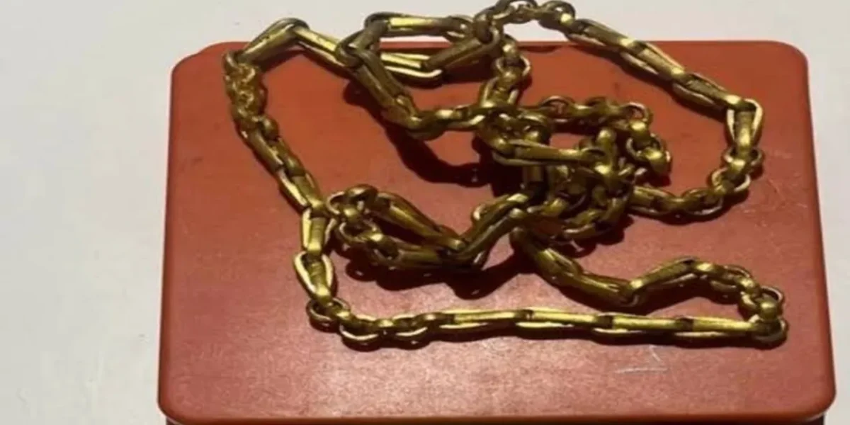Ahmedabad Customs seizes gold chain worth ₹55 lakh from Dubai passenger