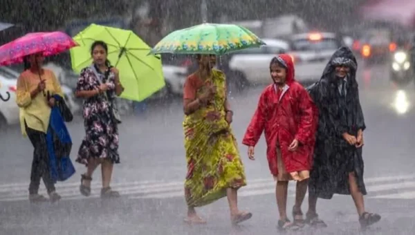 Heavy rainfall lashes Gujarat, waterlogging reported, dams on alert