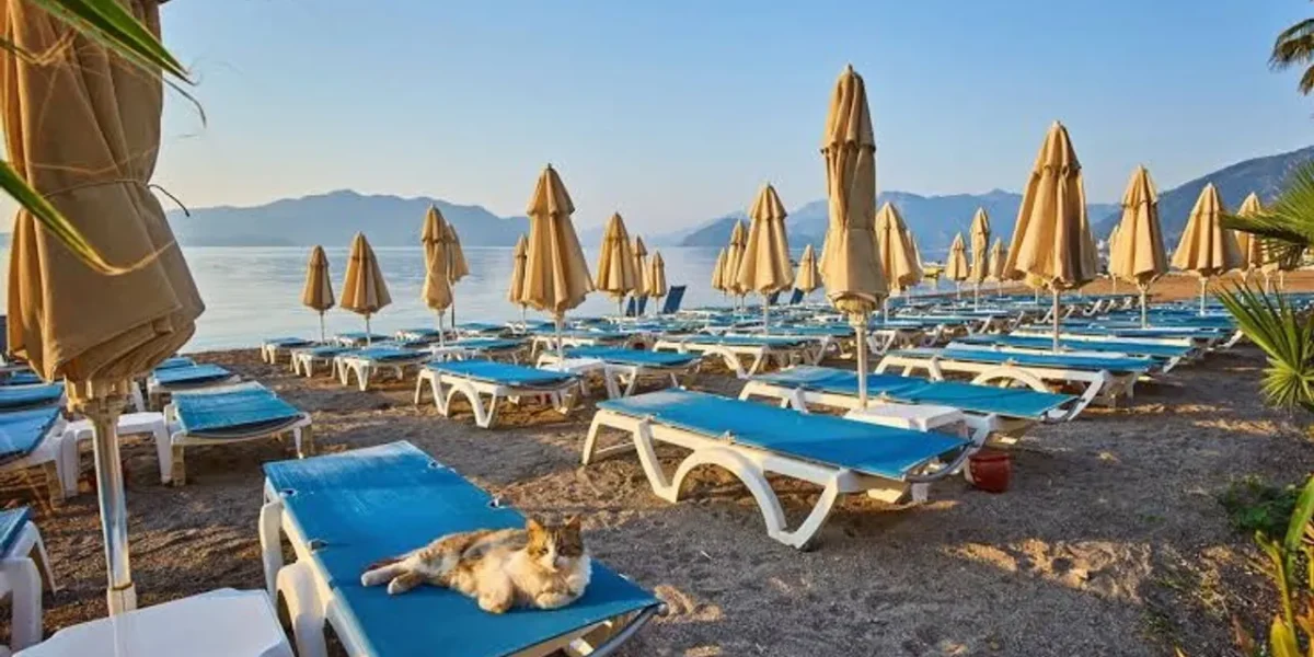 Fires, earthquakes and inflation are putting tourists off Turkey
