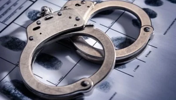 Two held in Delhi for illegal sale of Gir, Ranthambore, other safari permits, pan-India racket busted