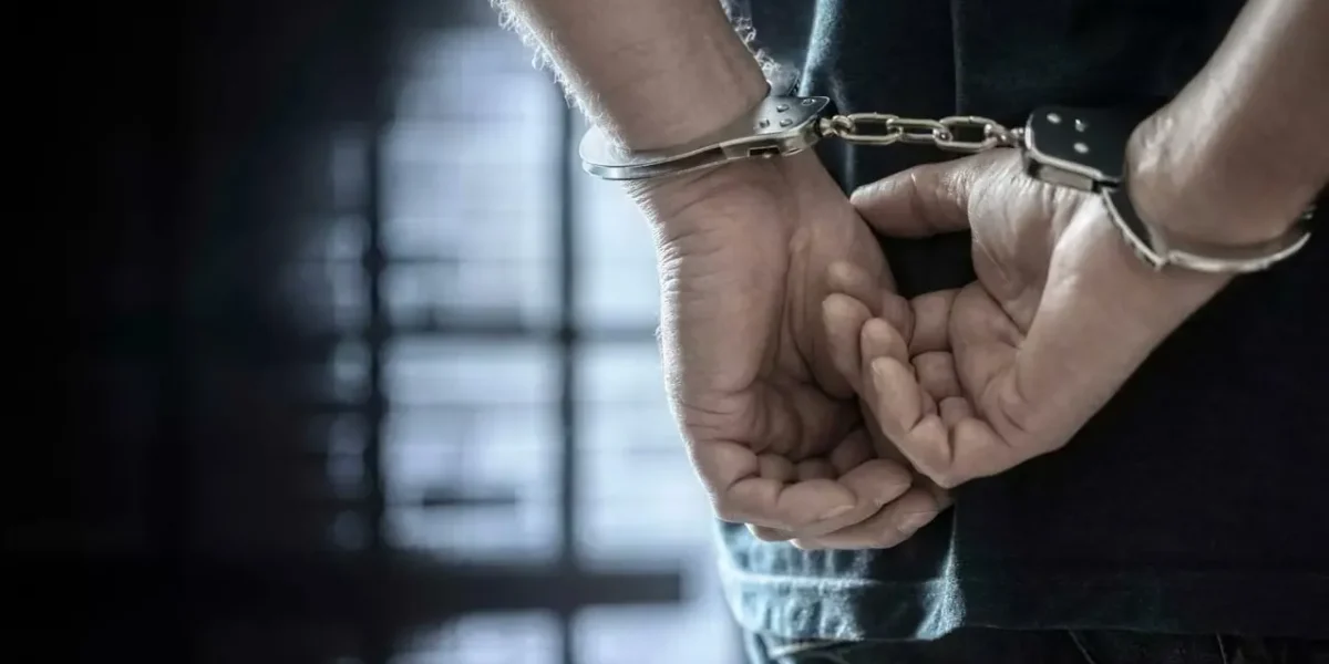 Indian student arrested in US after he tries to set family on fire
