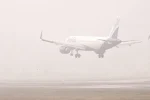 Dense fog disrupts air traffic; 118 flights cancelled at Delhi airport amid cold wave