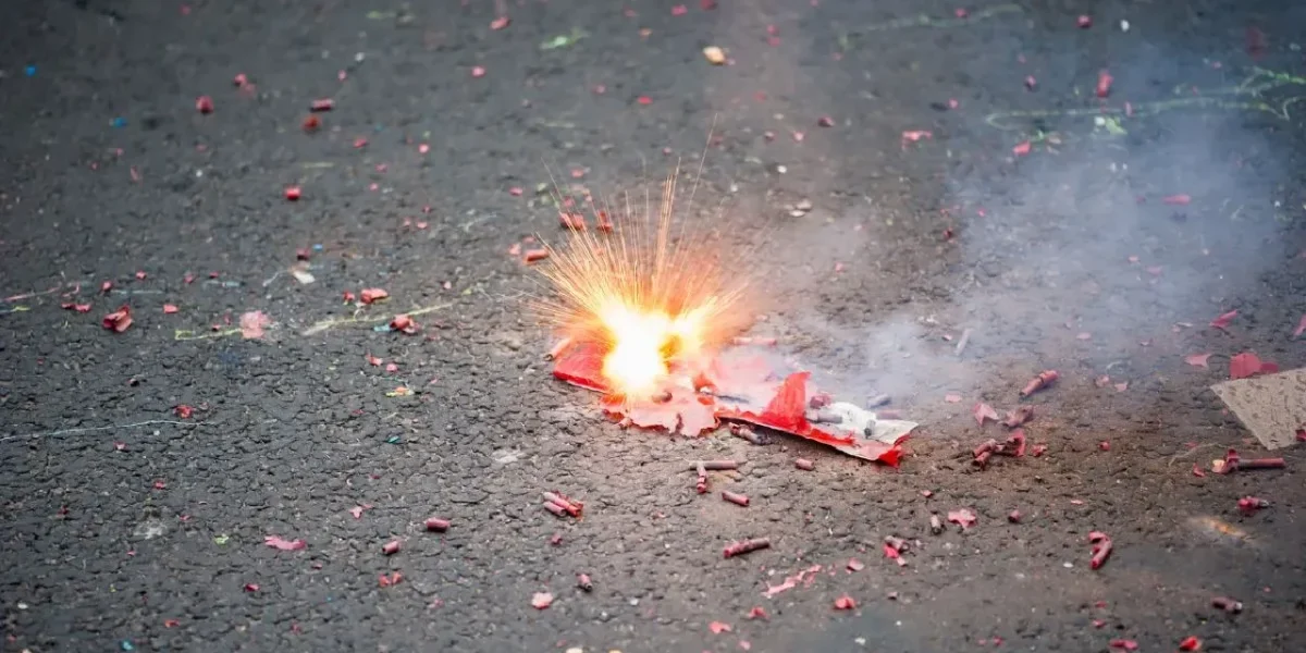Delhi Govt Bans All Firecrackers in Clubs, Bars and Restaurants Ahead of Festive Season.