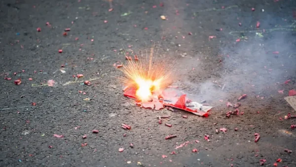 Delhi Govt Bans All Firecrackers in Clubs, Bars and Restaurants Ahead of Festive Season.
