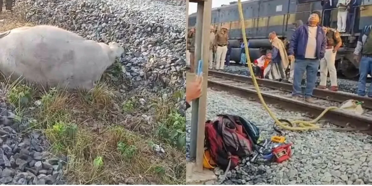 Tragedy in Assam: Sairang–New Delhi Rajdhani Express Derails After Hitting Elephants, 8 Killed.
