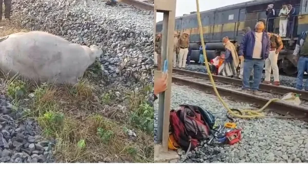 Tragedy in Assam: Sairang–New Delhi Rajdhani Express Derails After Hitting Elephants, 8 Killed.