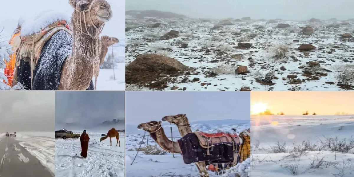 Saudi Arabia Sees Snow After 30 Years: Icy Sand Dunes Stun the World.
