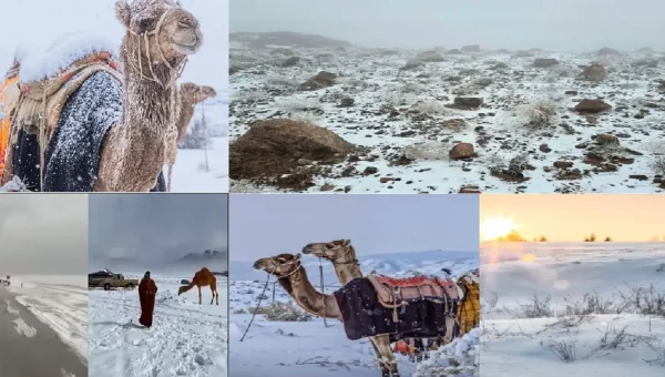Saudi Arabia Sees Snow After 30 Years: Icy Sand Dunes Stun the World.