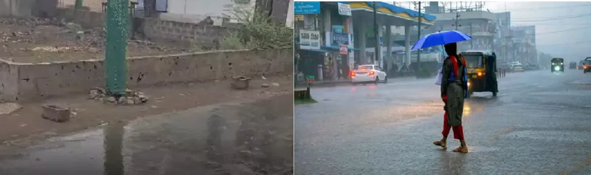 Year Ends with Rain in Gujarat, Rabi Crops Face Risk