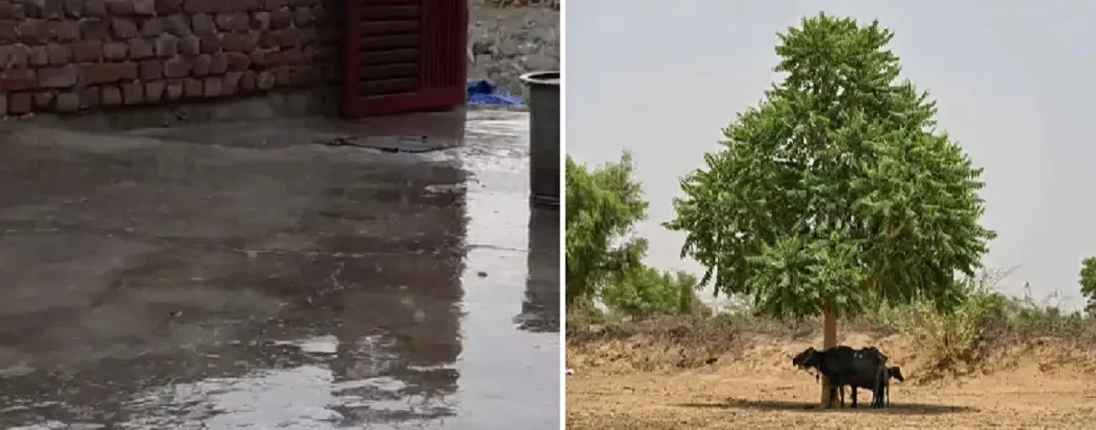 Rain, Hail & Dust Storm Alert Across Rajasthan; Heatwave Triggers Scooter Fire in Kota, Phalodi Hottest