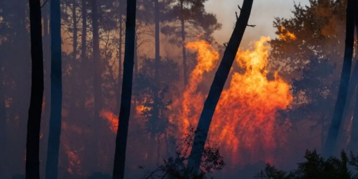 Prolonged Heat Waves Pushes France and Spain Into Wildfire Crisis
