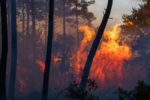 Prolonged Heat Waves Pushes France and Spain Into Wildfire Crisis