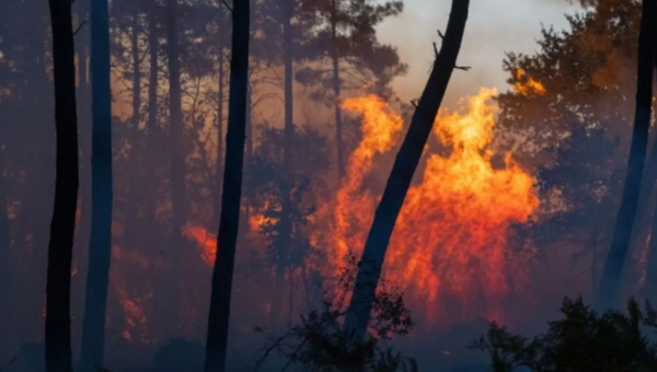 Prolonged Heat Waves Pushes France and Spain Into Wildfire Crisis