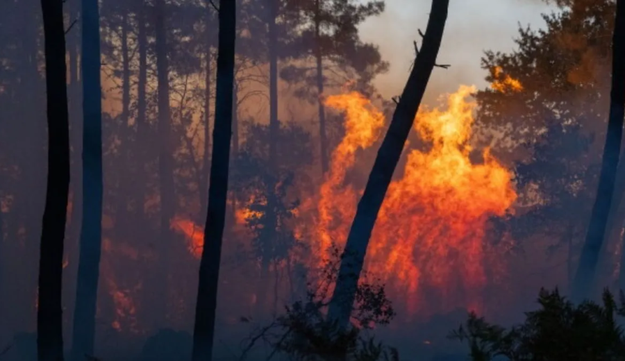 Prolonged Heat Waves Pushes France and Spain Into Wildfire Crisis