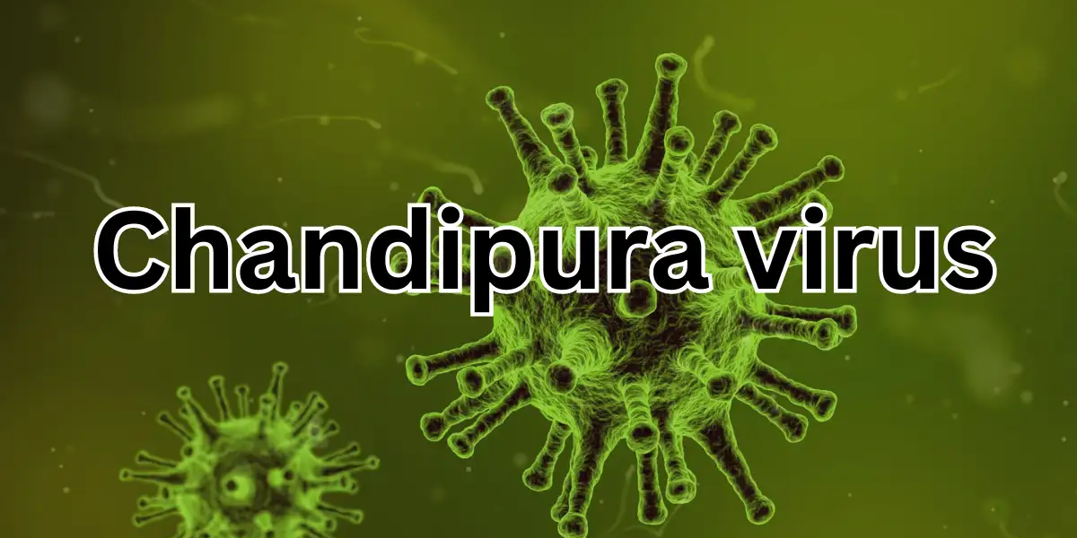  Everything you need to know about Chandipura virus!