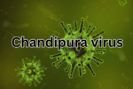  Everything you need to know about Chandipura virus!