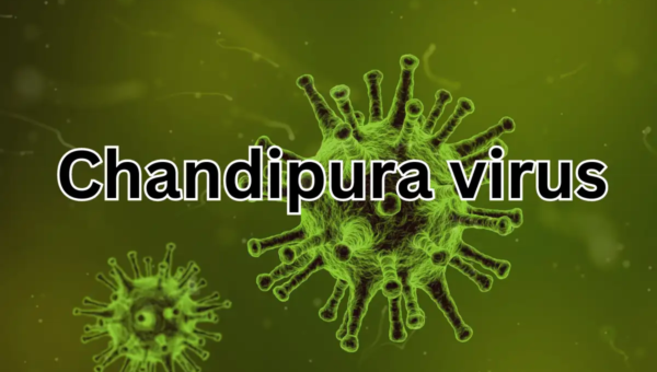  Everything you need to know about Chandipura virus!